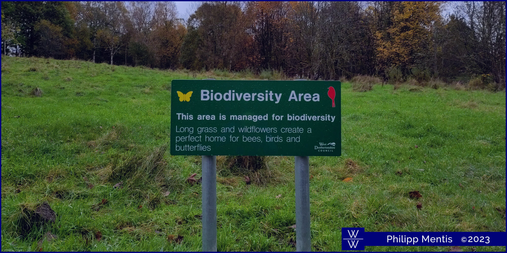 !B A slight slope full of grass that is marked with a sign that says This ares is managed for biodiversity.